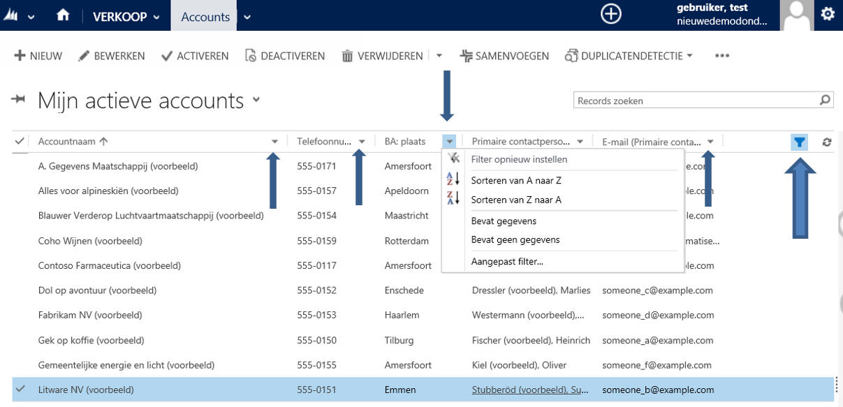 Filteren in weergaven de Dynamics 365/CRM software web cliënt