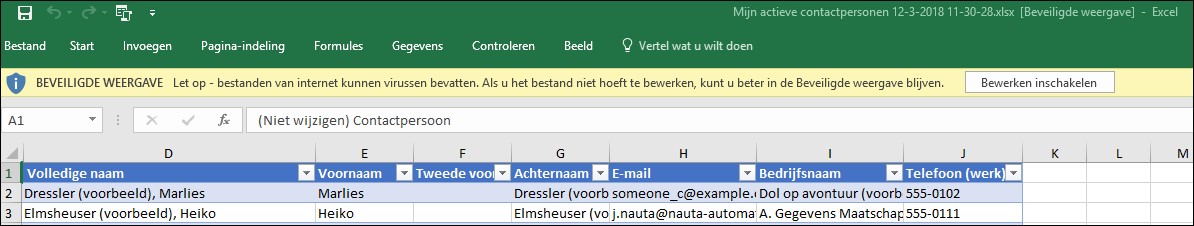 Dynamics 365 CRM export naar Excel