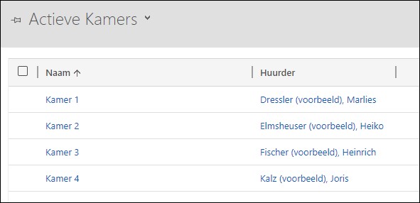 dynamics 365 crm software samenvouwweergave