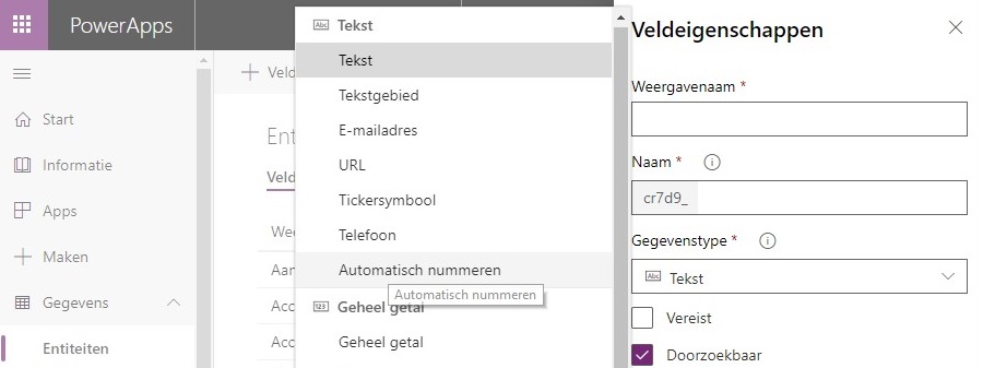 automatische nummering in Dynamics 365 CRM